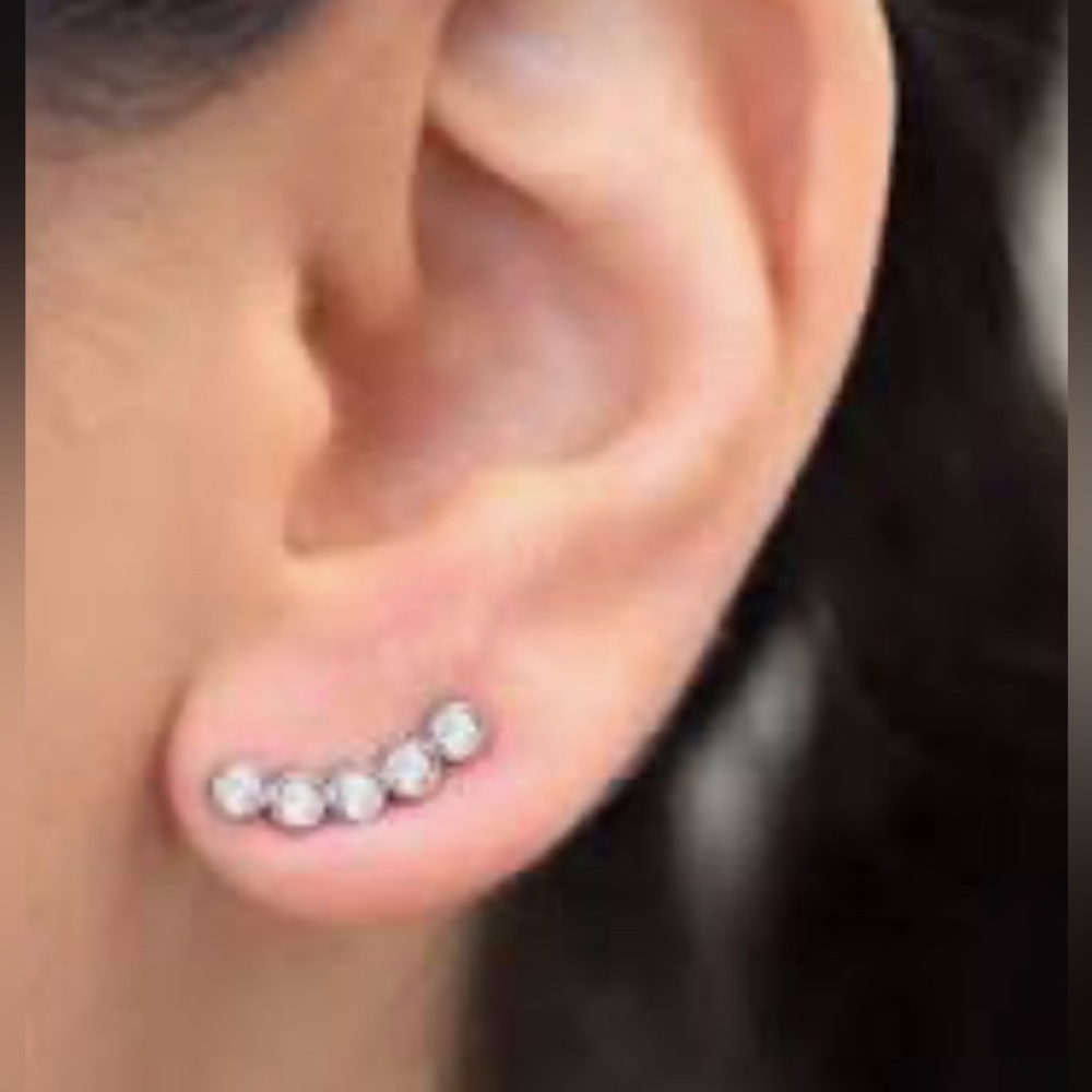 Touchstone Crystal Urban Climber earrings